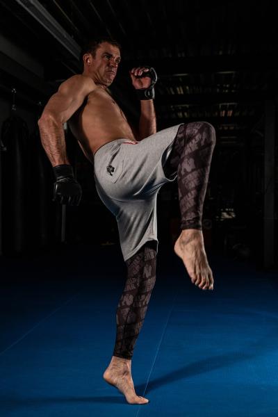 Gorilla Wear Шорты Pittsburgh Sweat Shorts Gray